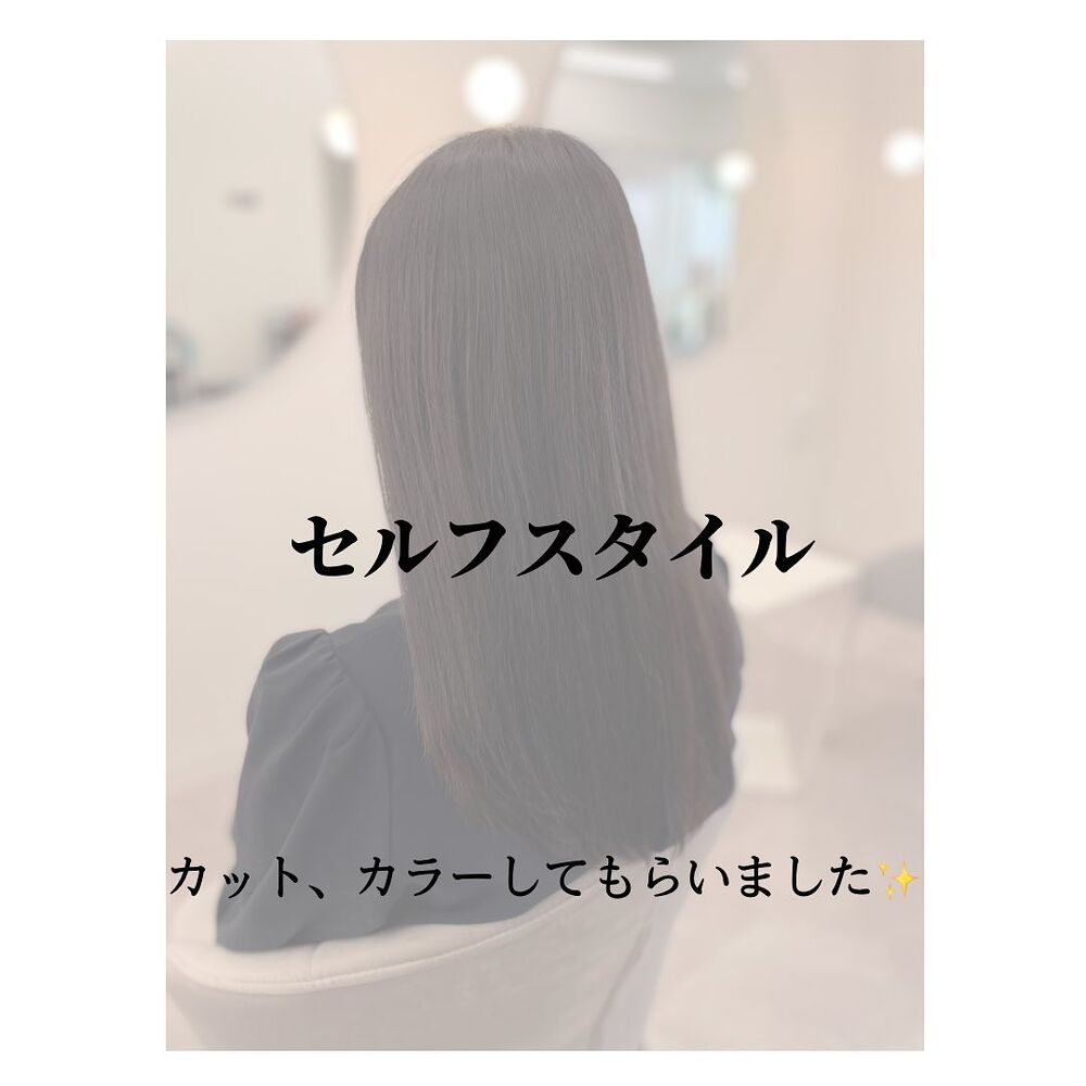 画像1398