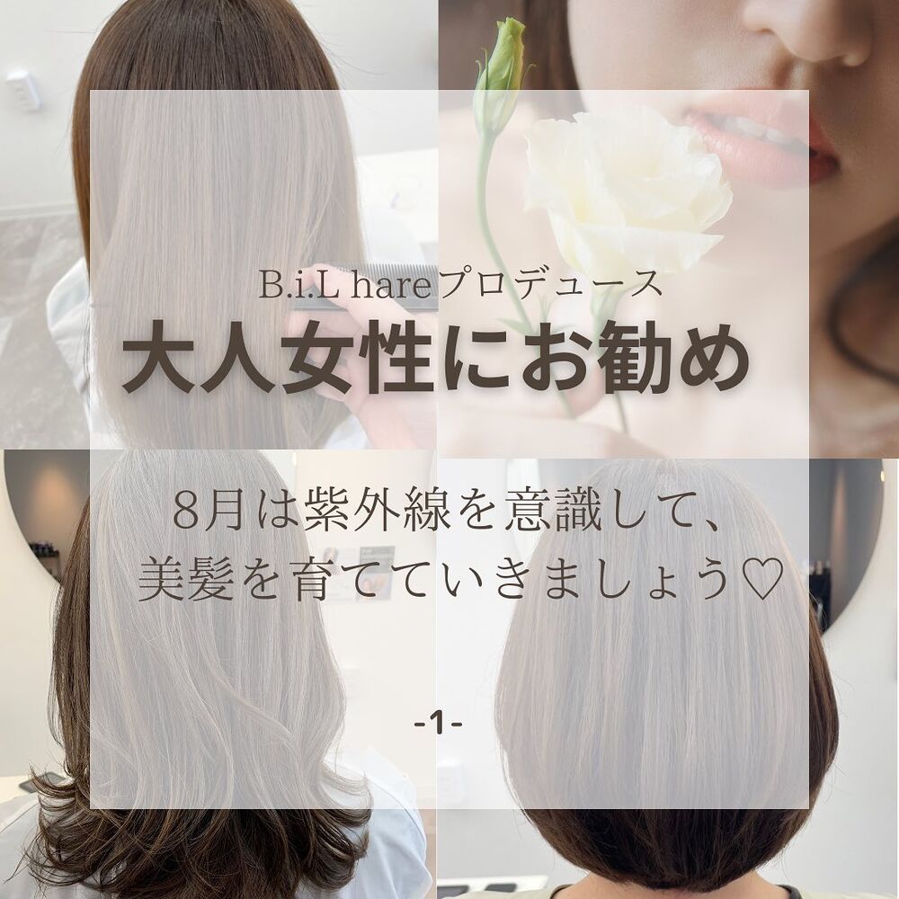 画像1475