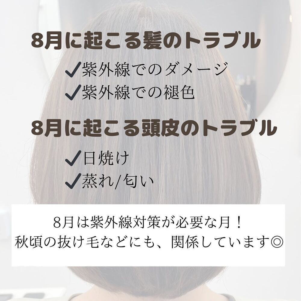 画像1479