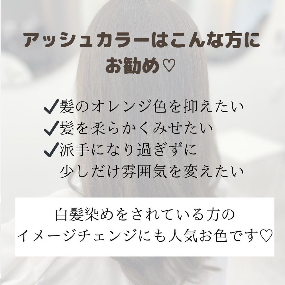 画像1488