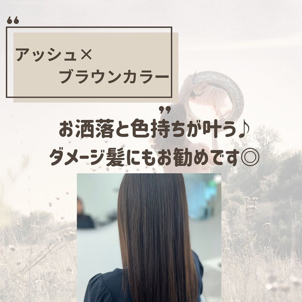 画像1491
